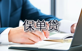 滁州保单贷